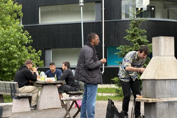 IMG_8713 IMG_8713