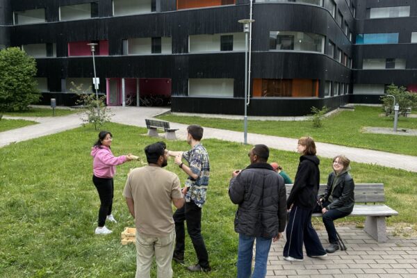 IMG_8716 IMG_8716
